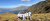 Insights Website banner 22