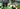 Insights Website banner 11