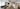 Insights Website banner 17