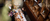 Insights Website banner 24