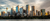 Insights Website banner 47