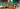 Insights Website banner 55