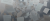 Insights Website banner 7