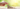 Insights Website banner 8