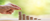 Insights Website banner 8
