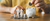 Insights Website banner 12