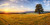 Rural land Australia 2000x1000