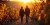 Walking thru vineyard 2000x1000