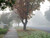 My street